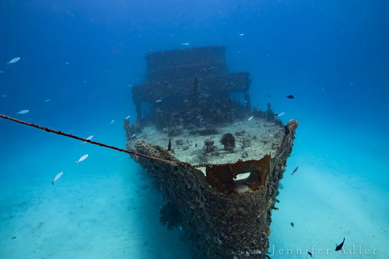 Épave de bateau rouillée colonisée par la vie marine et les poissons