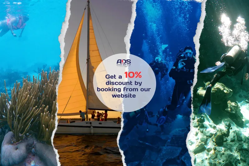 Plongeurs, bateau à voile et coraux sous l'eau, promotion plongée