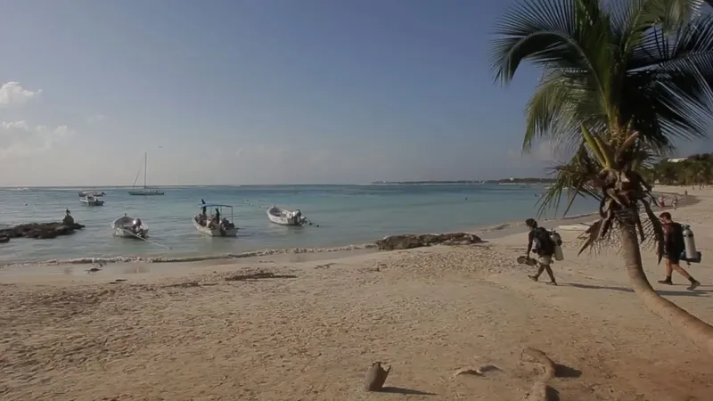 Plage tropicale avec bateaux et plongeurs se préparant à plonger