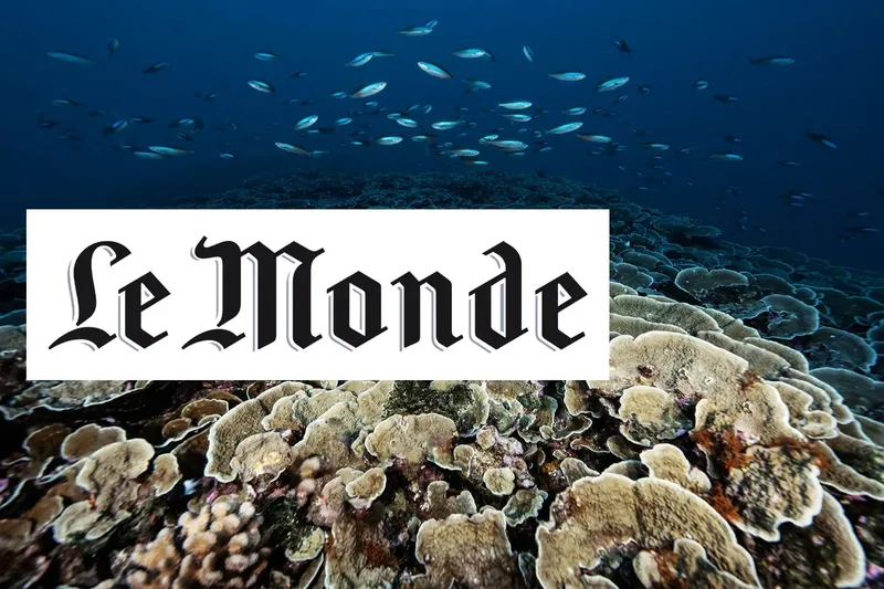 Coraux et banc de poissons avec le texte Le Monde superposé