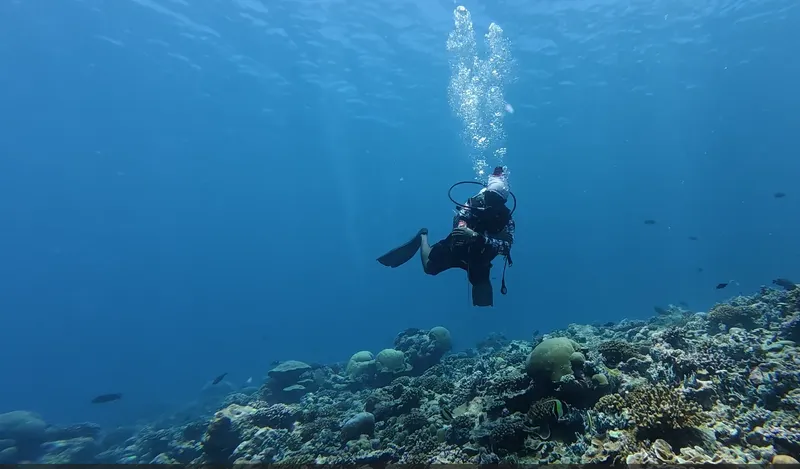 Plongeur en exploration sous-marine au-dessus d'un récifal corallien