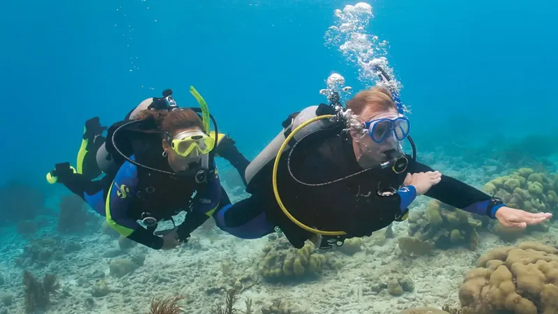 Deux plongeurs explorent un récifal corallien en eau turquoise
