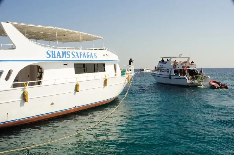 Deux bateaux de plongée blancs sur une mer bleue avec des personnes