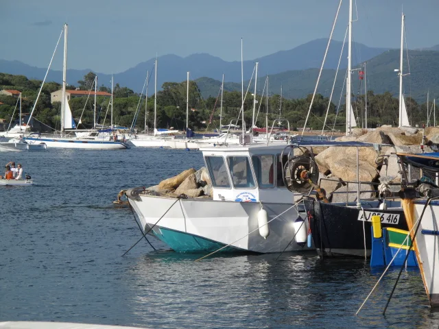 Plusieurs bateaux amarrés dans un port ensoleillé avec des montagnes en arrière-plan