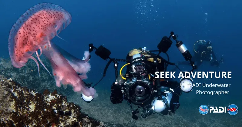 Photographe sous-marin avec une méduse, lumière bleue, plongée en mer