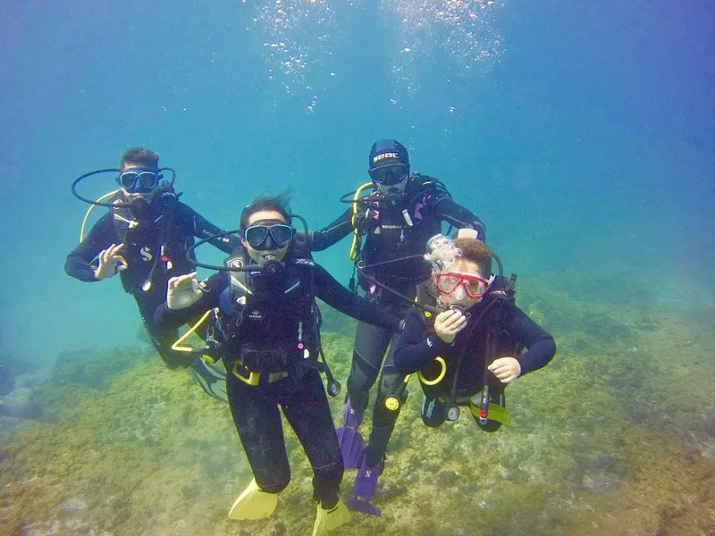 Quatre plongeurs souriants en combinaison, palmes et masques sous l'eau
