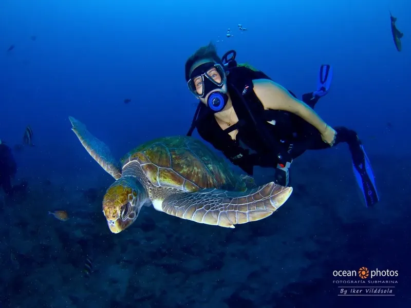 Plongeuse nageant avec une tortue de mer dans un environnement bleu