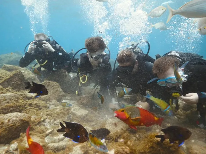 Plongeurs observant des poissons colorés sur un fond rocheux sous-marin