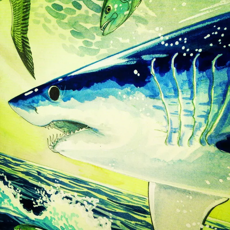 Grand requin blanc émergeant de l'eau, illustration artistique colorée