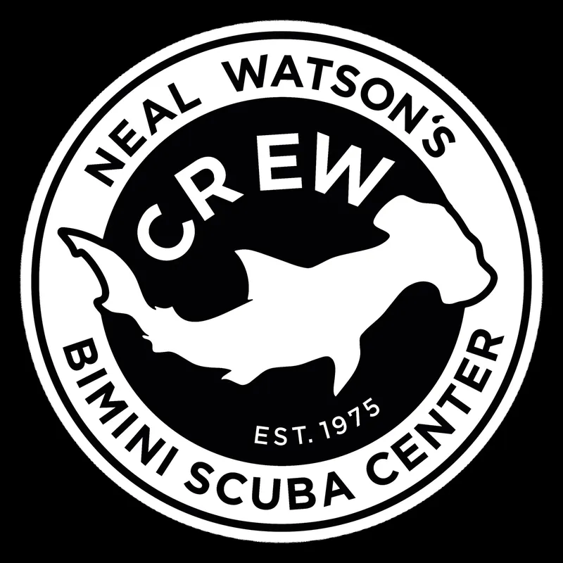 Logo circulaire avec un requin, texte et date de fondation