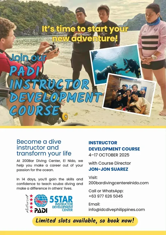 Plongeurs en formation PADI, cours de développement instructeur, mer turquoise