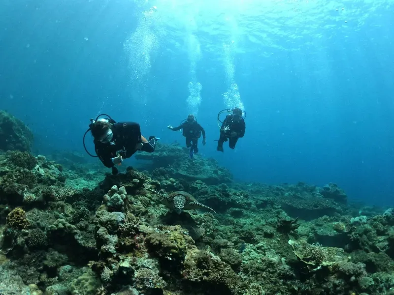 Trois plongeurs explorent un récif corallien en eau bleue claire