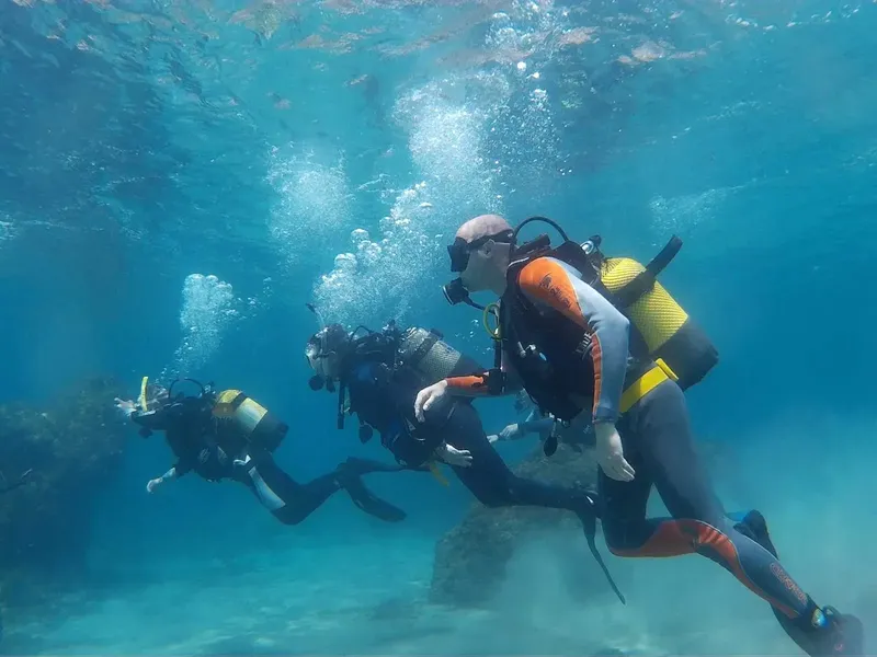 Trois plongeurs explorent un fond marin bleu et rocheux
