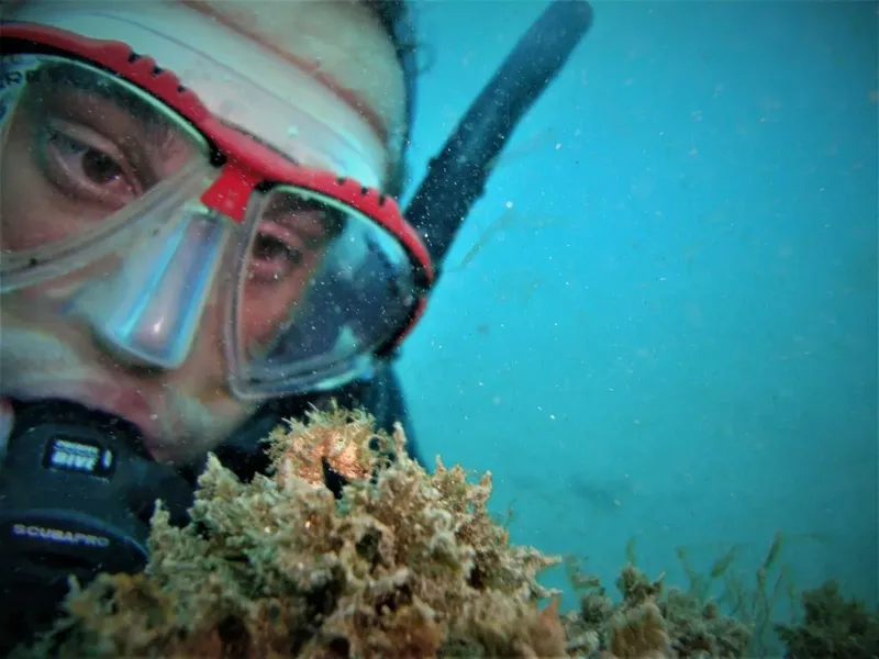 Plongeur avec masque et tuba, regardant un petit poisson dans l'eau