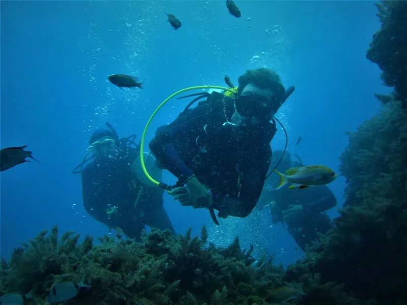 Deux plongeurs explorent un récif corallien avec des poissons