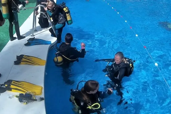Formation plongée en piscine avec instructeur et stagiaires équipés