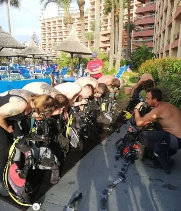 Plongeurs préparant leur équipement au bord d'une piscine ensoleillée