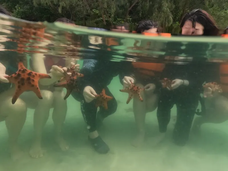 Plongeurs tenant des étoiles de mer orange dans une eau turquoise