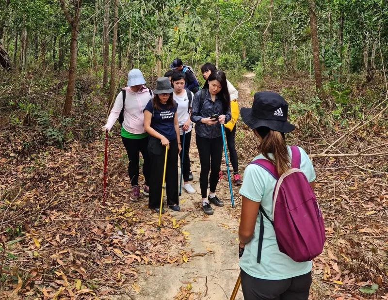 Groupe de personnes marchant sur un sentier forestier recouvert de feuilles