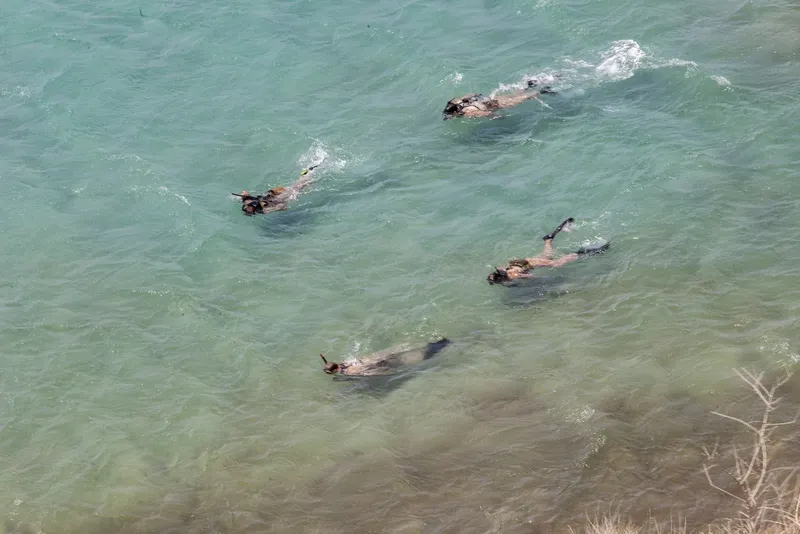 Quatre personnes pratiquent le snorkeling dans une eau turquoise claire
