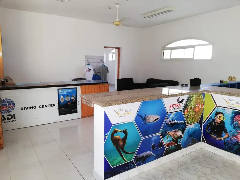 Comptoir d'accueil d'un centre de plongée avec affiches colorées et logos