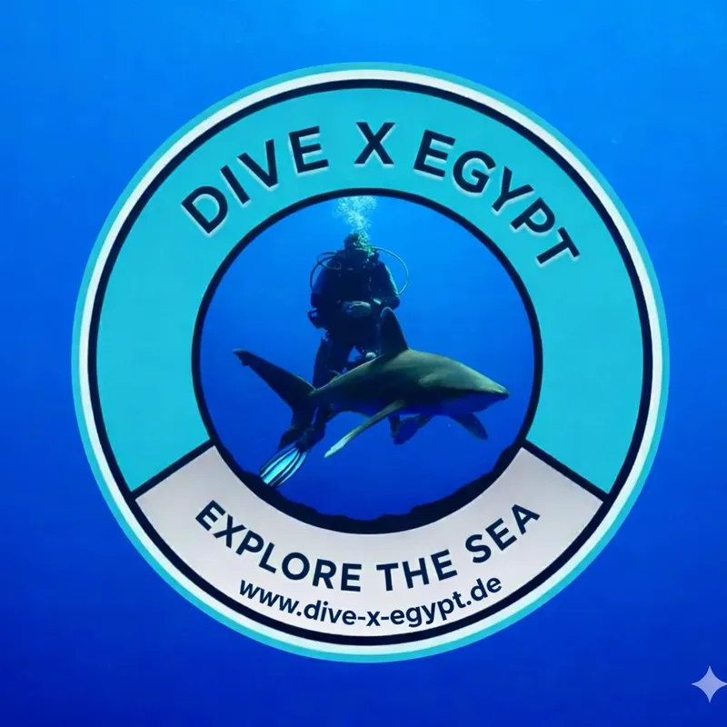 Plongeur face à un requin dans une eau turquoise profonde