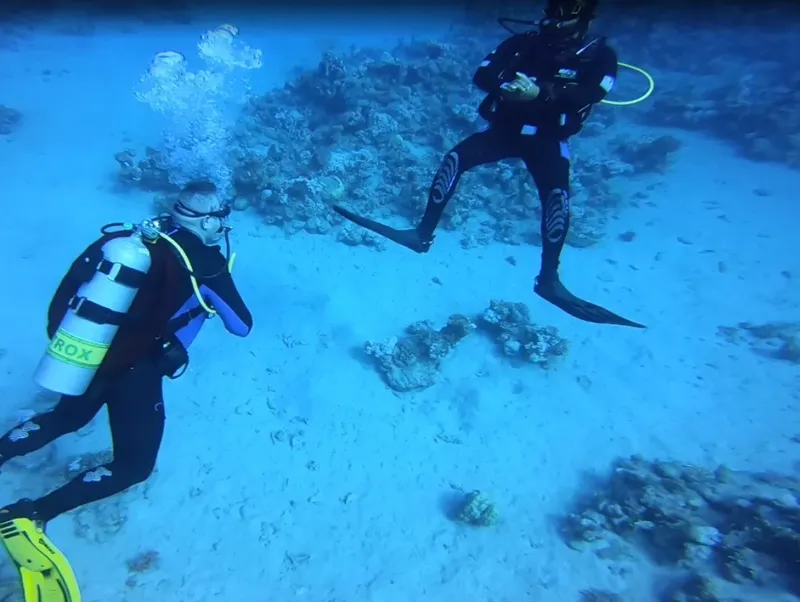 Deux plongeurs en combinaison explorent un récif corallien bleu