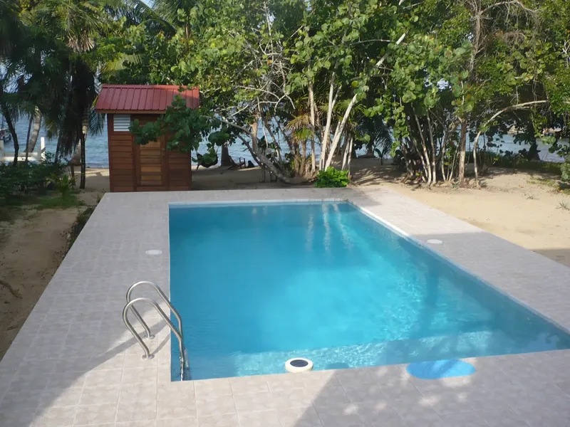 Piscine rectangulaire bleue entourée de pavés et végétation tropicale