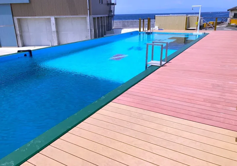 Piscine de formation à la plongée avec escalier et terrasse bois