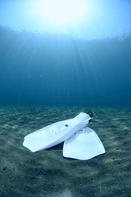 Plaquettes de plongée blanches reposant sur le fond sableux sous-marin