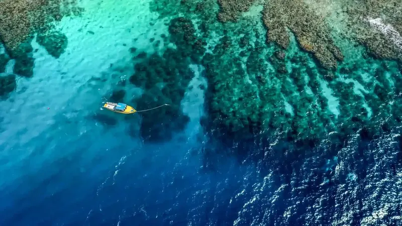 Vue aérienne d'un bateau de plongée au-dessus d'un récif corallien turquoise