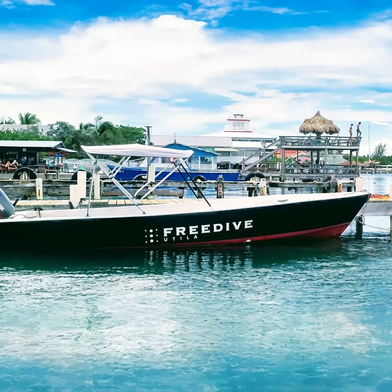 Bateau de plongée amarré à un ponton avec bâtiments en arrière-plan
