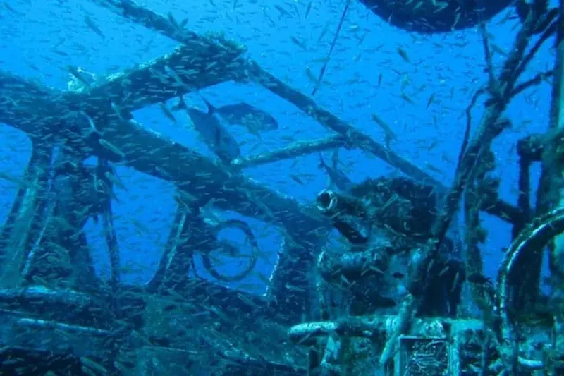 Epave sous-marine colonisée par la vie marine et des poissons