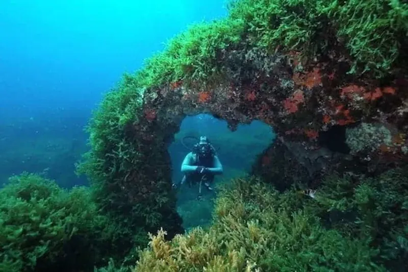 Plongeur explorant une arche rocheuse recouverte d'algues sous-marine