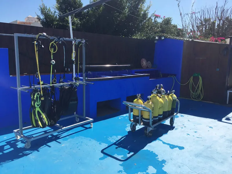 Equipement de plongée rangé sur une surface bleue en extérieur