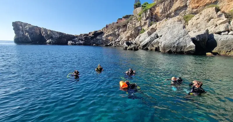 Groupe de plongeurs en surface, exploration marine, eau turquoise, côte rocheuse