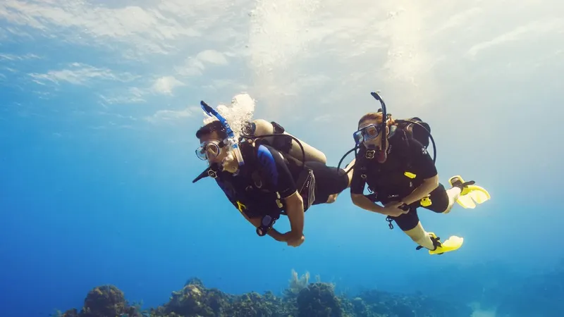 Deux plongeurs explorent les fonds marins en combinaison et équipement