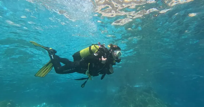 Plongeur en combinaison noire explore les fonds marins bleus clairs