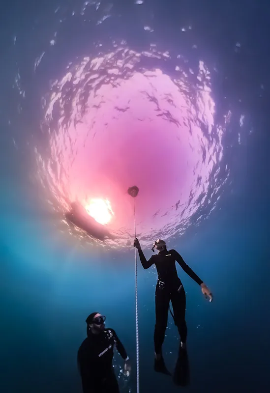 Deux plongeurs en combinaison noire flottent vers la surface lumineuse