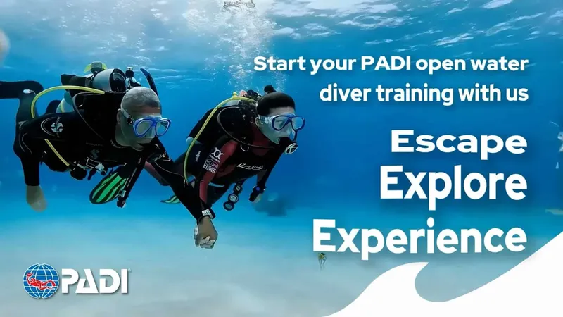Deux plongeurs s'aventurent dans un monde bleu, formation PADI