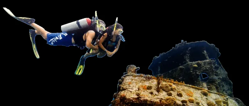 Plongeur explore une épave recouverte de vie marine en profondeur
