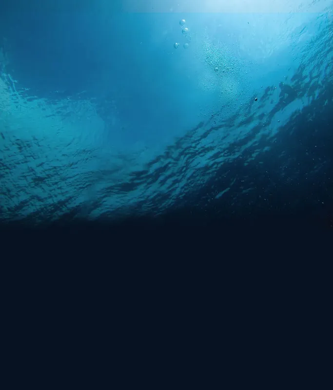Vue sous-marine avec lumière filtrant à travers la surface de l'eau