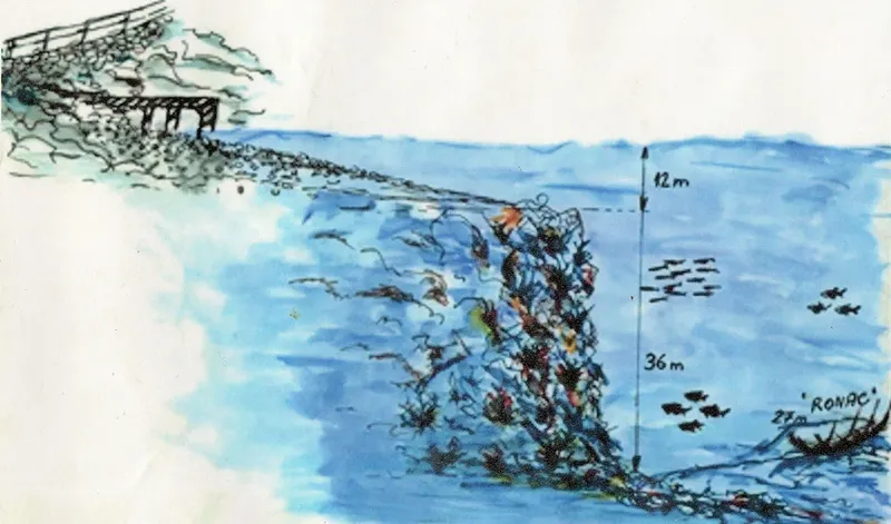 Illustration d'un récif sous-marin avec des poissons et un ponton