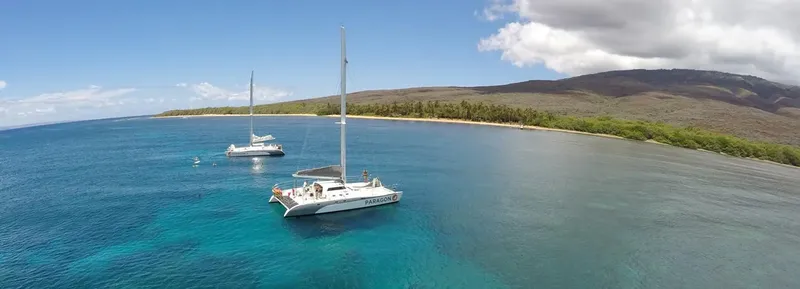 Catamarans naviguant sur une mer bleue avec une côte verdoyante
