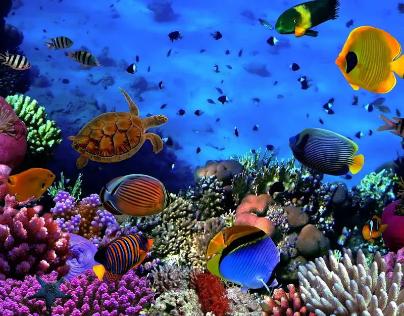 Recif corallien coloré avec tortues, poissons tropicaux et vie marine