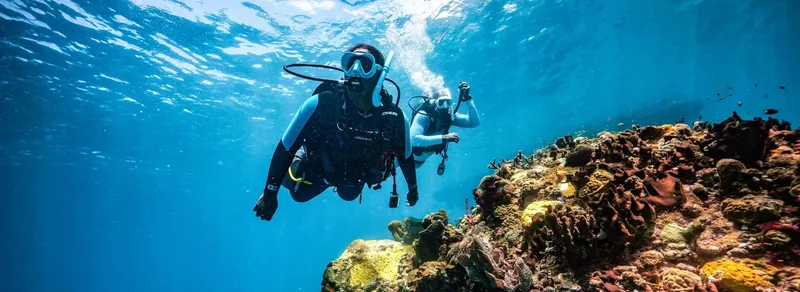 Deux plongeurs explorent un récif corallien en eau bleue claire