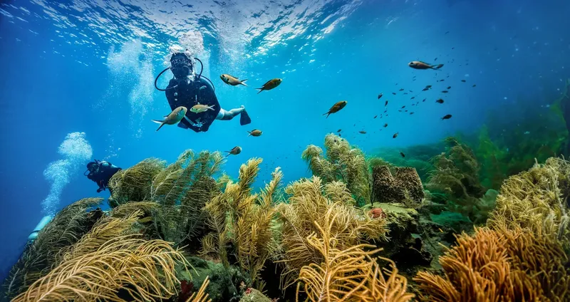 Plongeurs explorent un récif corallien avec des poissons tropicaux
