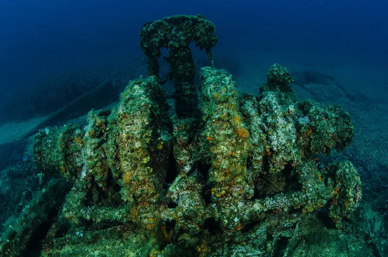 Épave recouverte d'algues et de coraux sous l'eau bleue