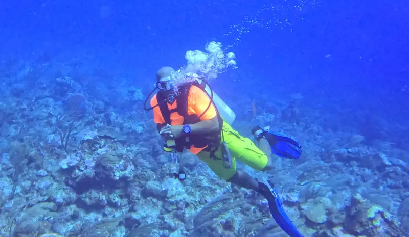 Plongeur en combinaison jaune nageant au-dessus d'un fond marin rocheux