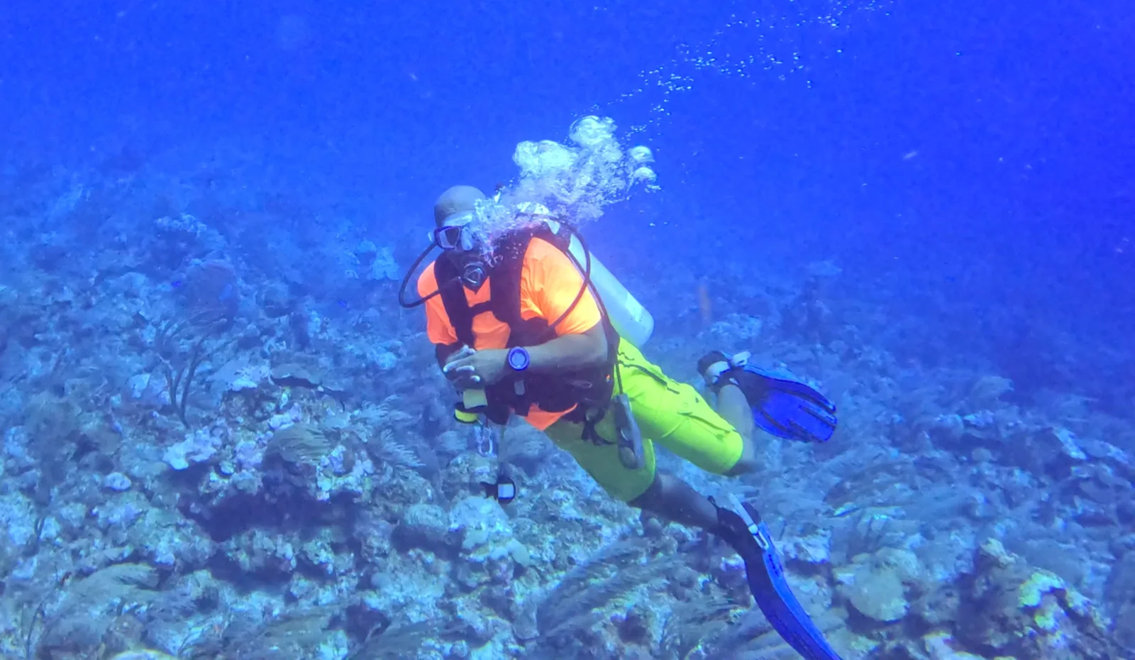 Scuba Steve Belize